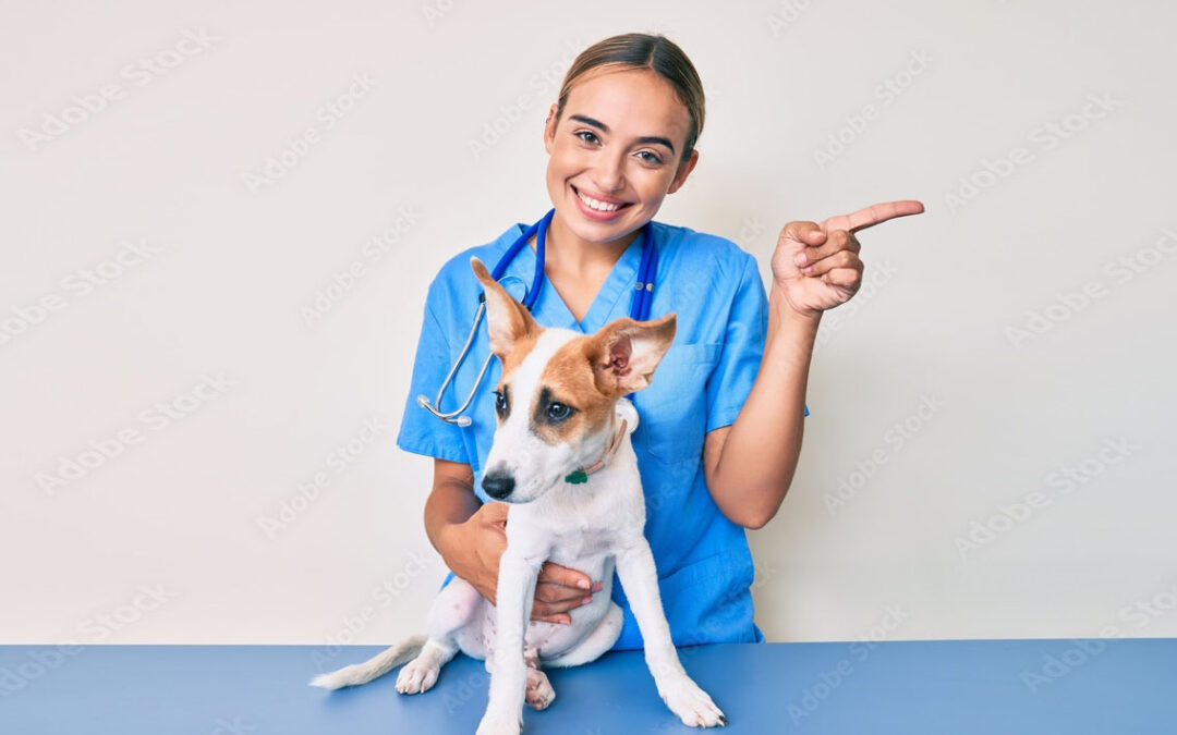 Chirurgie orthopédique